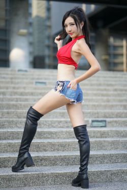 最新免费小说